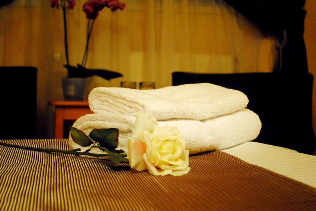 Hotel Vandia Тимишоара Экстерьер фото